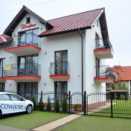 Проживание в семье Dafne 2